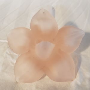 Frosted Pink Glass Single Flower Bloom Vase